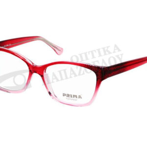 MR GAIN PRIMA JENIFFER