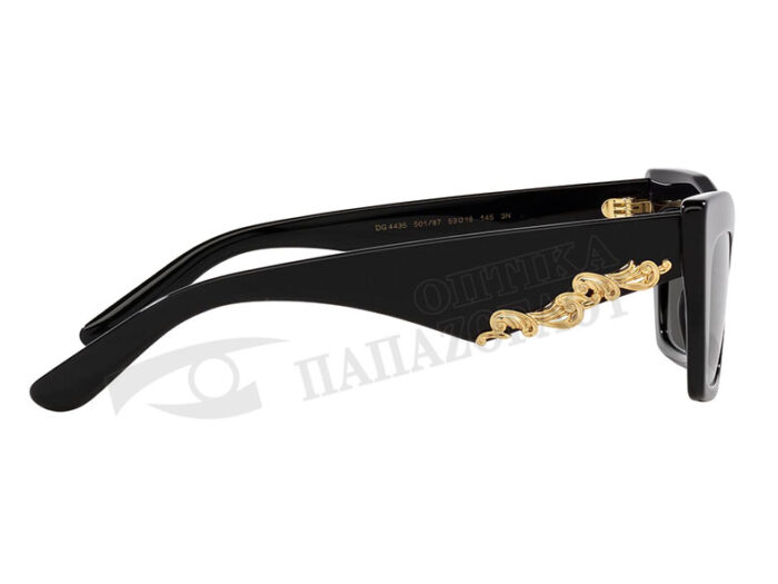 DOLCE GABBANA DG 4435 501 87 10