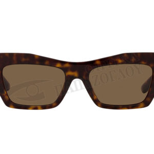 DOLCE & GABBANA DG 4435 502/73