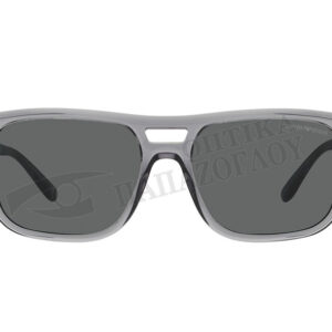 EMPORIO ARMANI EA 4197 5029/87
