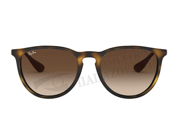 RAY BAN RB 4171 ERIKA 865 13 1