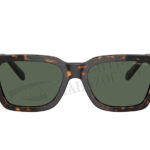 ARNETTE AN 4334
