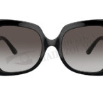 DOLCE & GABBANA DG 6193U