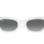 RAY-BAN RB 4430