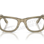 RAY-BAN RB 2140 COLOR CHANGE 1387GG50
