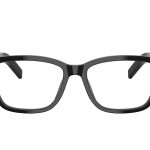 PRADA PR B10V