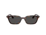 RAY-BAN RB4456 C135987