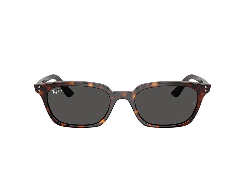 0RB4456__135987__P21__noshad__fr RAY-BAN RB4456 C135987 - Image 1